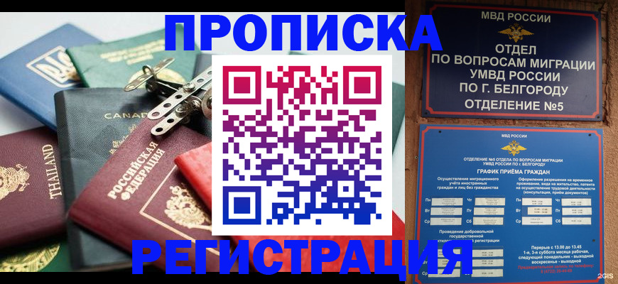 найти адрес прописки в Бердске
